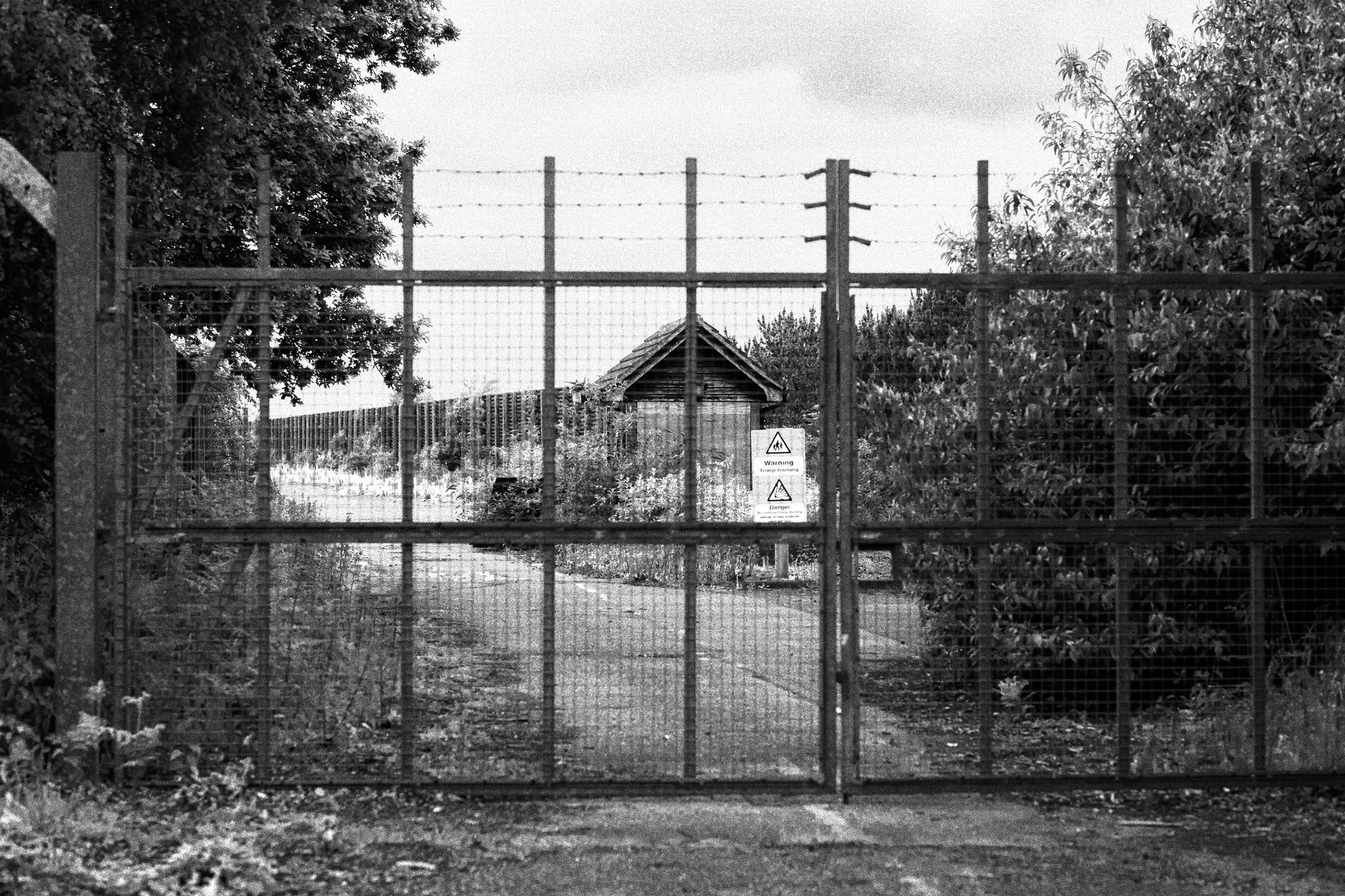 Rendlesham Forest, Suffolk